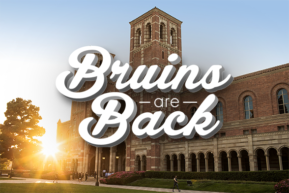 Bruin Back